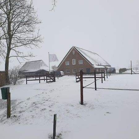 Landelijk Gelegen Boerderij Aan De Pothofweg Apartment Anevelde Екстериор снимка